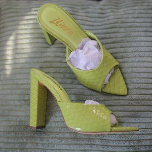 NWT Green Snake Print Pointed Heels.